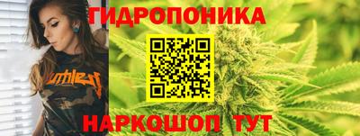 PSILOCYBIN Конаково